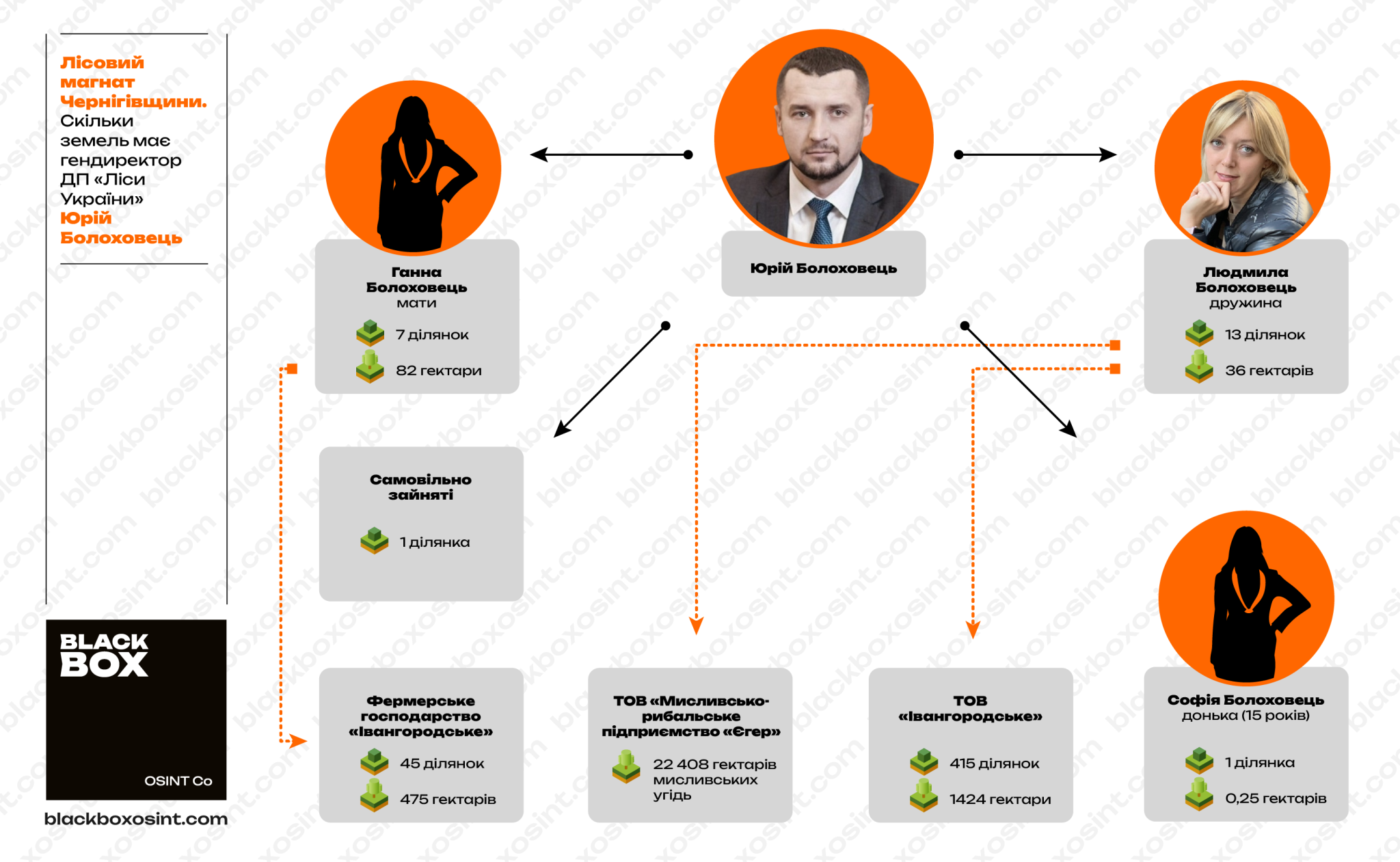 Структура земельних активів, якими володіє сім’я Болоховець